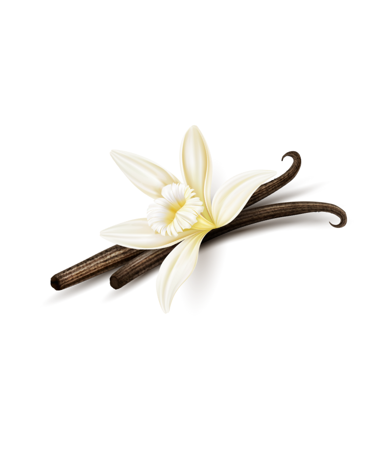 Haitian vanilla bean with flower used in Sweet Sensations cakes Sharon, PA